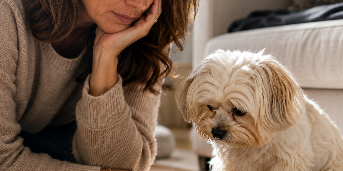 Il tuo cane non mangia la pappa ma accetta biscotti e bocconcini? Ecco cosa sta succedendo davvero